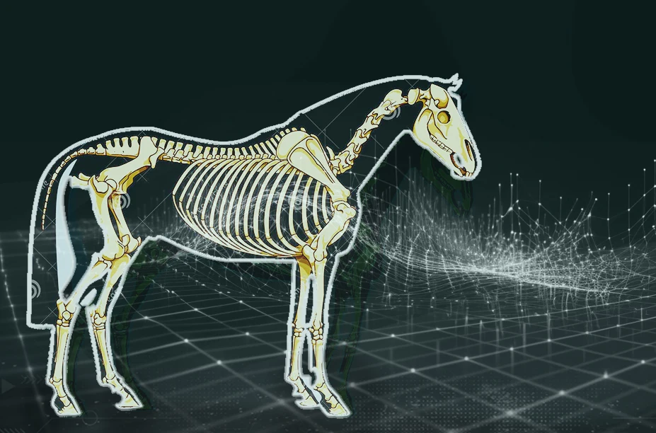 Shockwave Therapy CE Certified 200W/350W 5-250mJ ESWT Device for Dogs Horses Sheep-Humans Home Use Pain Relief & Massage