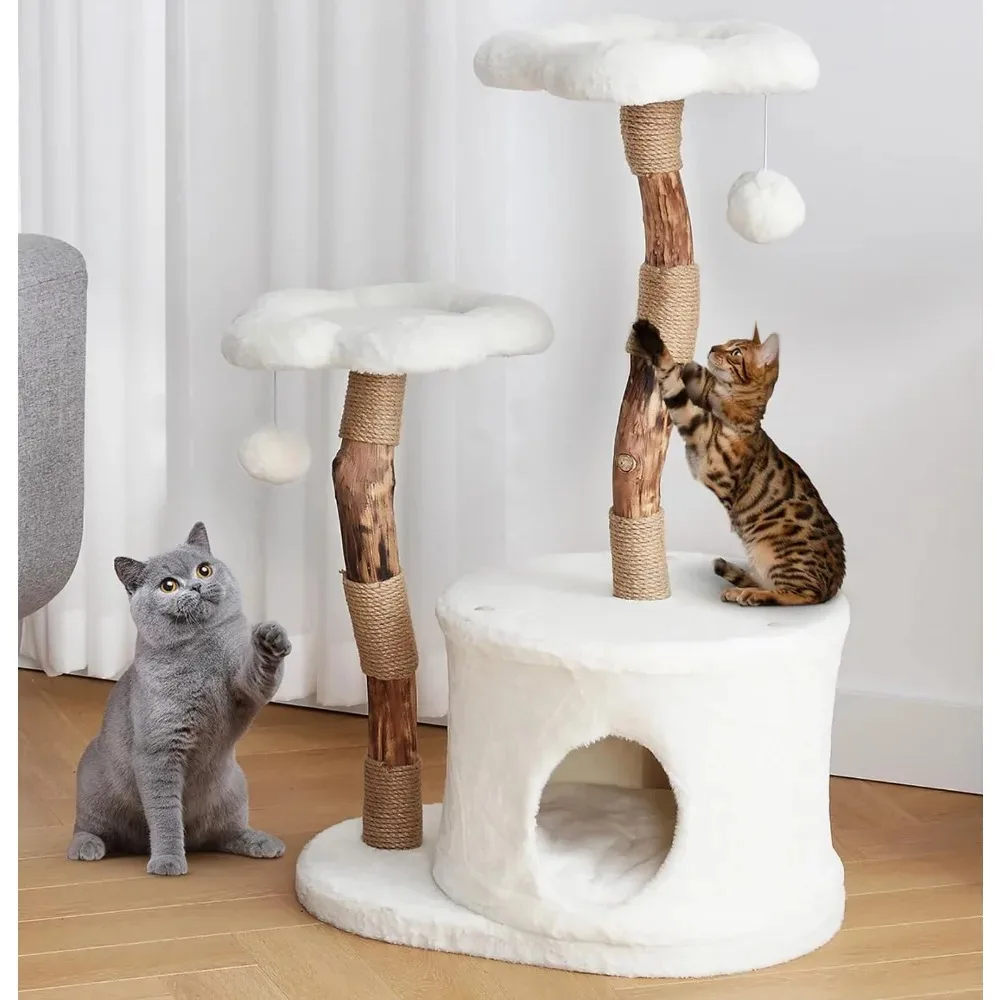 Solid Wood Cat Condo With Scratching Post Scraper Accessories Things Playground Wall Pet Luxury Large Cats Flower Cat Tree