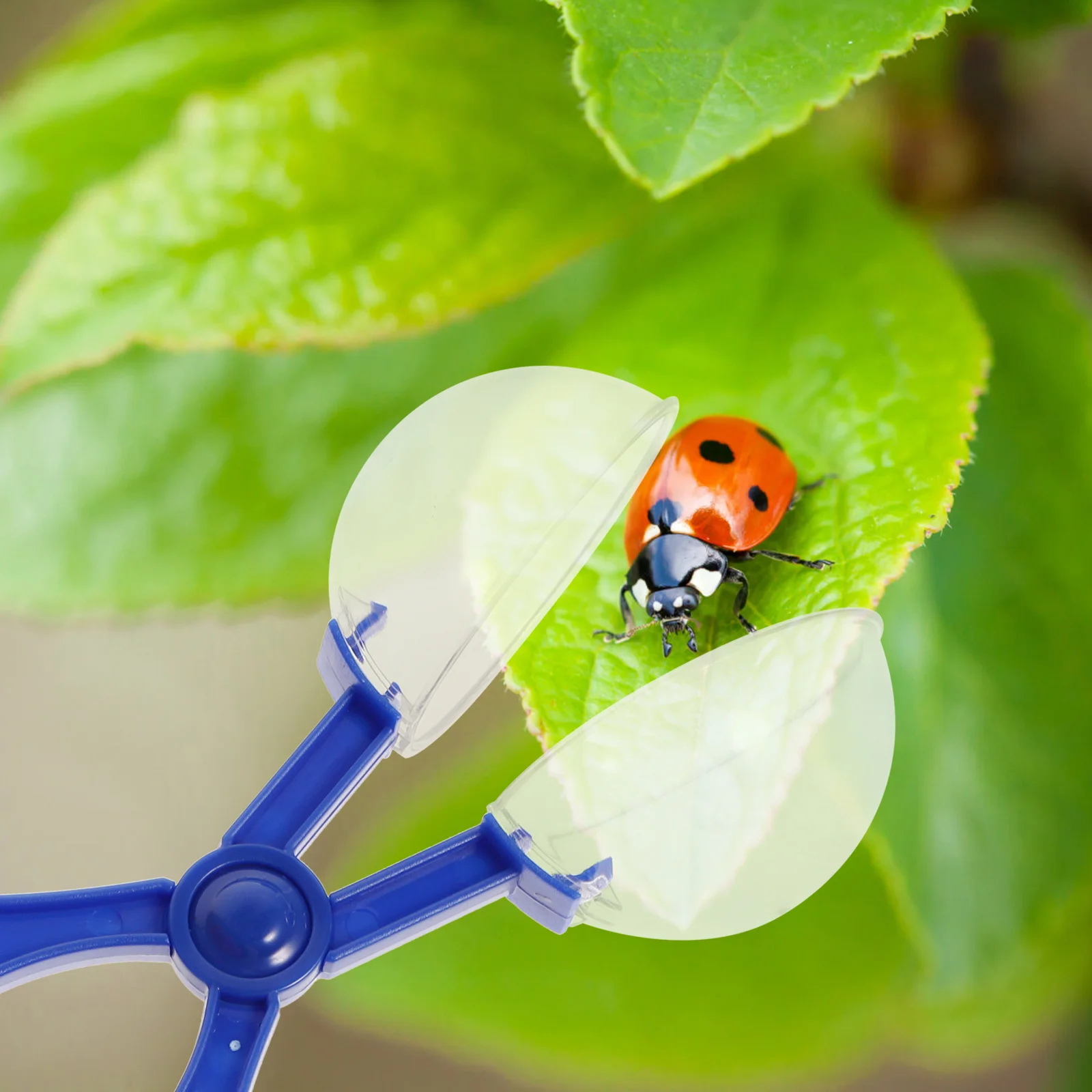 

8Pcs Insects Catch Clamp Scissors Kids Outdoor Educational Funny Bug Catcher Scooper Scissors Colorful Camping