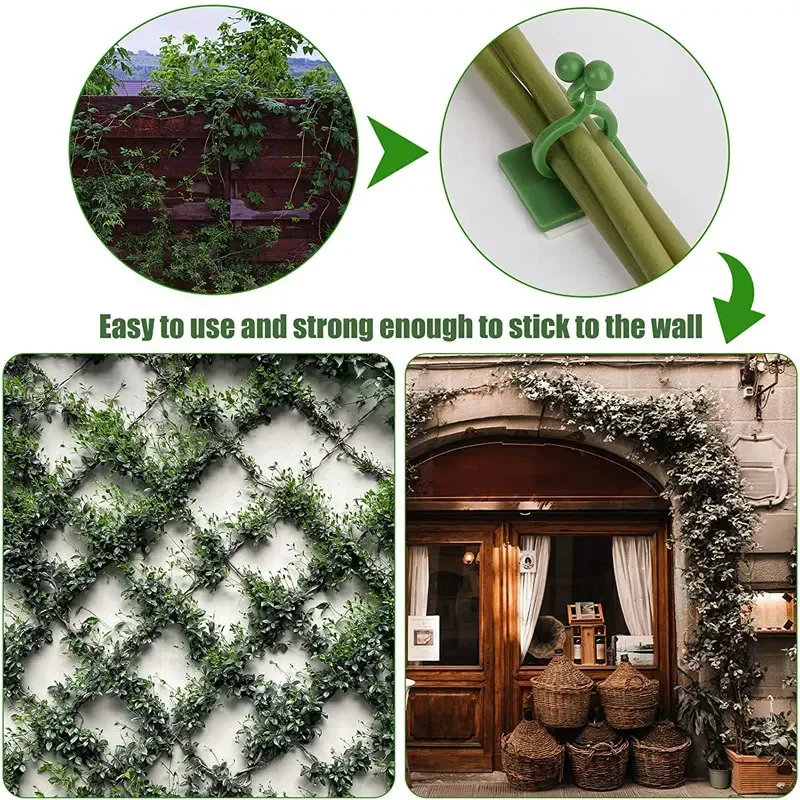 5/10/20/50 قطعة اكسسوارات الحديقة حديقة النباتات الأواني والمزارعون تسلق الجدار الديكورات في الهواء الطلق مصباح دعم للنباتات كليب الكرمة #3