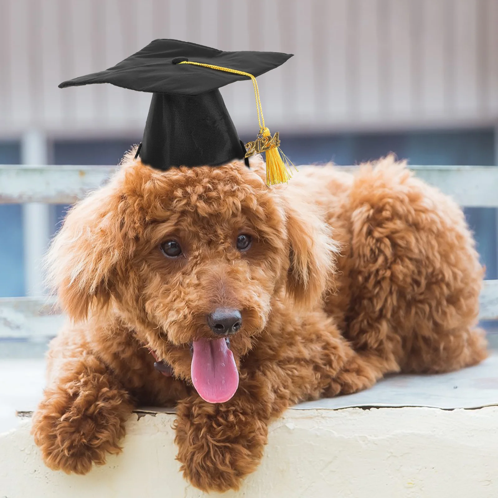

Dog Graduation Caps Black Tassel Hat Photo Prop Small Pets Puppy Cat Decorative Party Supply Washable Safe Material