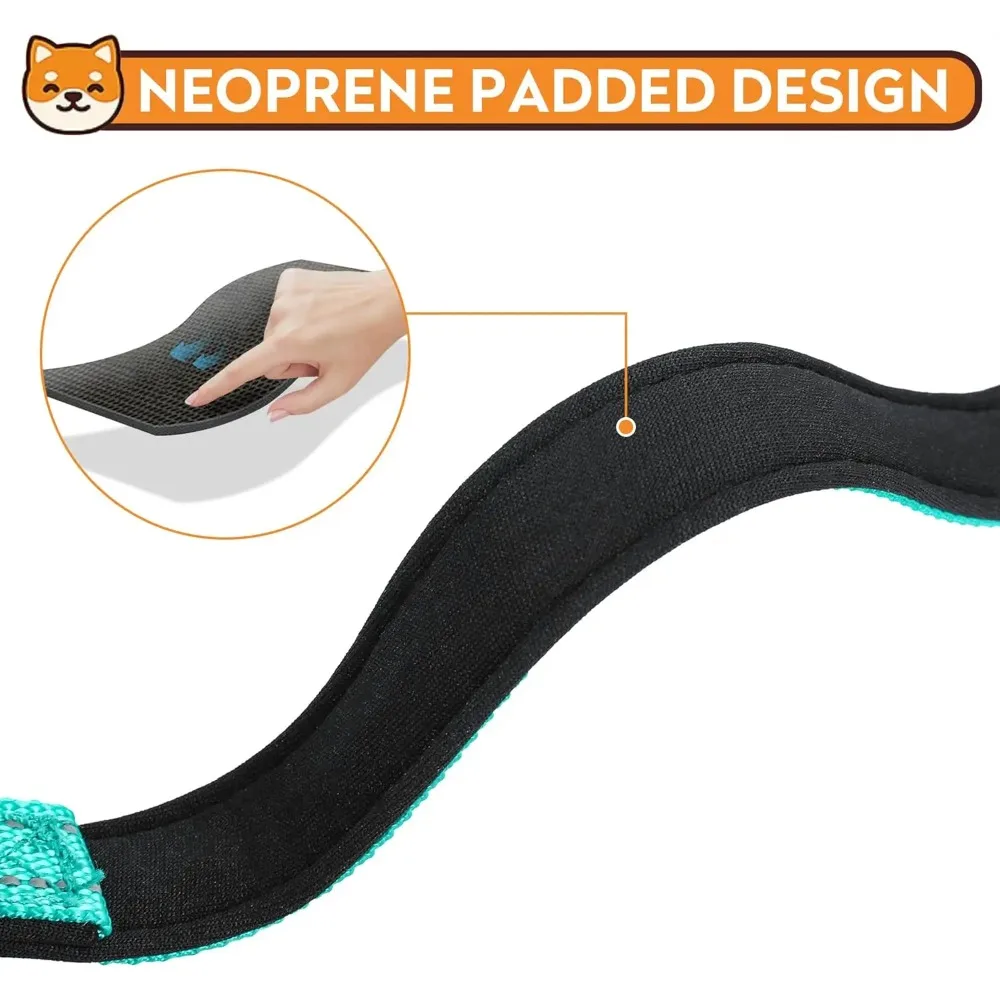 Soft Padded Dog Collar 5