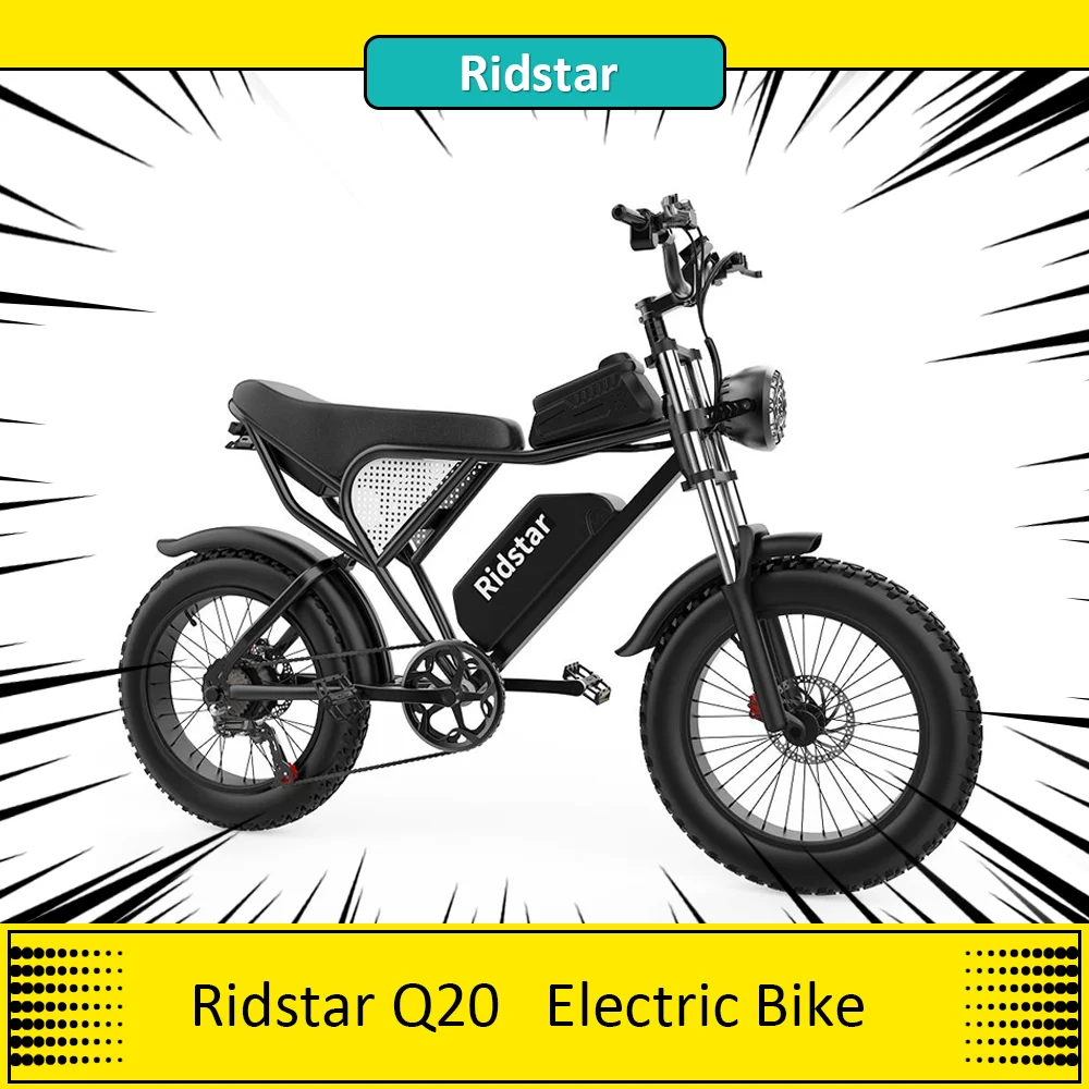 Ridstar Q20 Electric Bike, 1000W Motor,48V 20Ah Removable Battery,  20*4 Inch Fat Tires Adult Ebike, 30mph Max Speed,LCD Display