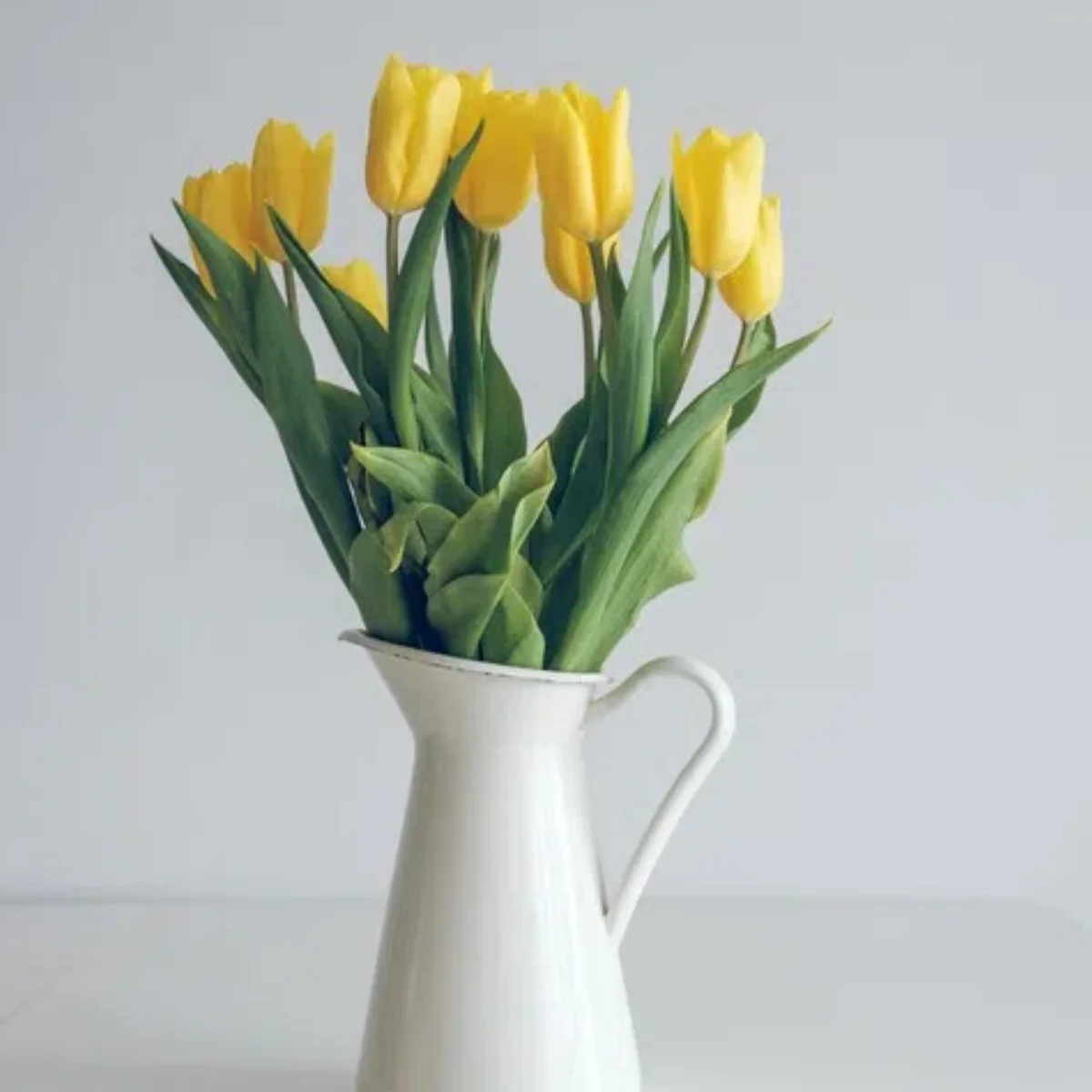 

808nm Diode Laser Hair Removal Professional Depilation Painless Air Cooling Permanent Laser Hair Removal 808nm 1064nm Scanner