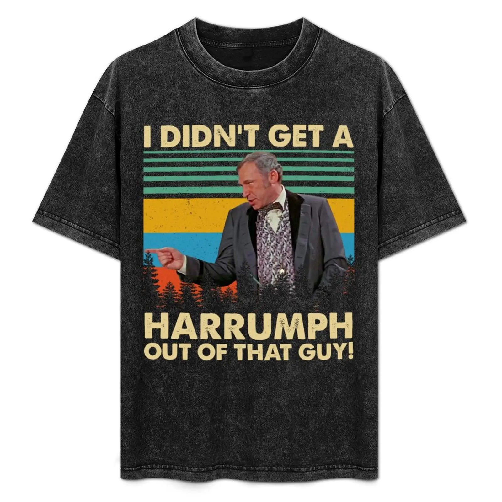

I Didn_t Get A Harrumph T-Shirt vintage aesthetic clothes for a boy mens champion t shirts