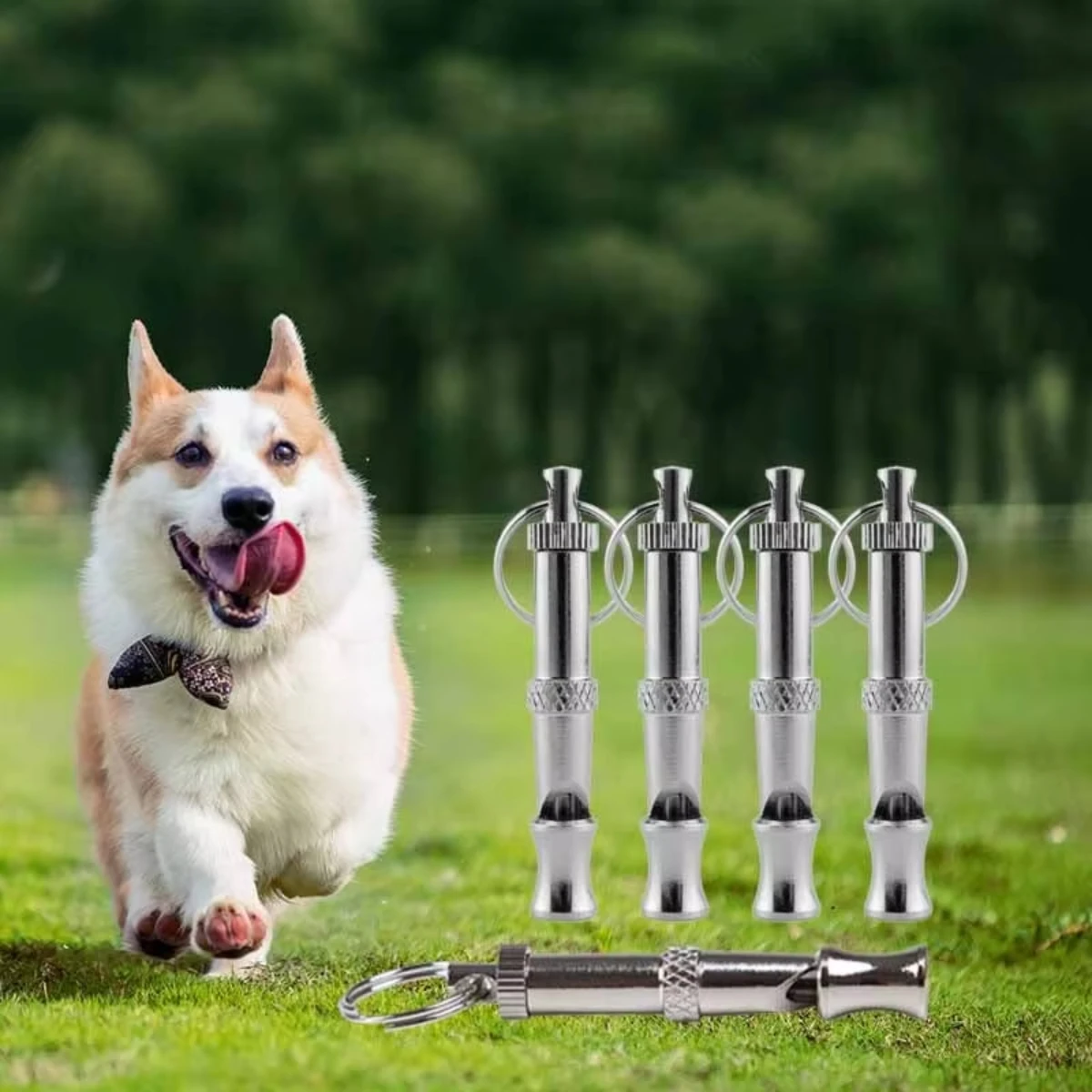 Sifflet pour chien pour arrêter les aboiements, sifflet pour chien à tonalité sonore réglable avec porte-clés, sifflet professionnel pour appeler les animaux domestiques, chiots, chats, chiens, 2 pièces