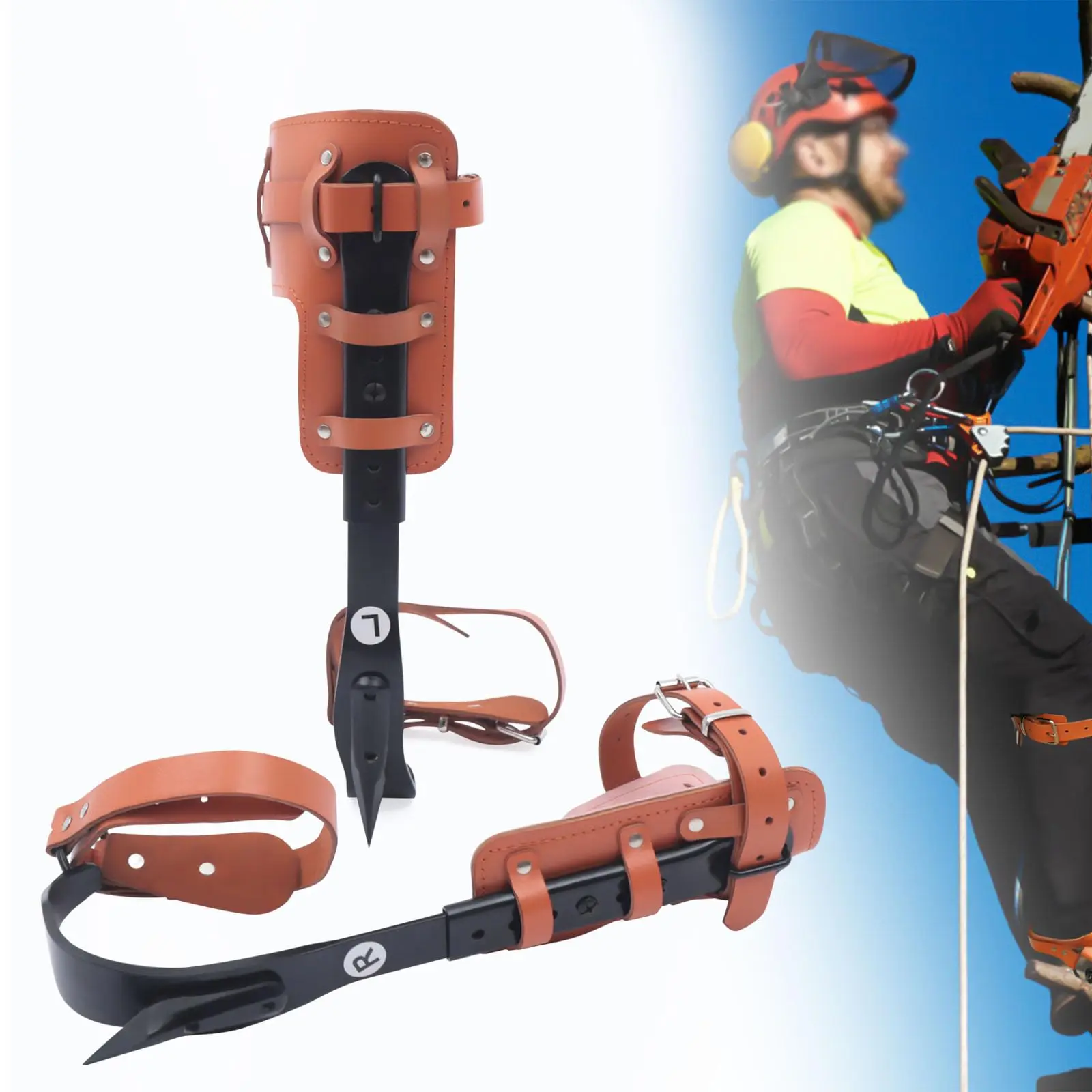 مجموعة سبايك لتسلق الأشجار، توتنهام تسلق القطب من الفولاذ، مجموعة مسامير متسلق قابلة للتعديل، معدات تسلق الأشجار Po