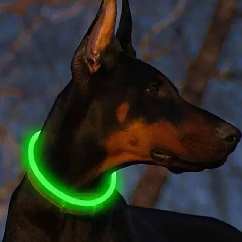 2023 Led Dog Collar Luminous Usb Cat Dog Collar 3 Modes Led Light Glowing Loss Prevention LED Collar for Dog Pet Dog Accessories