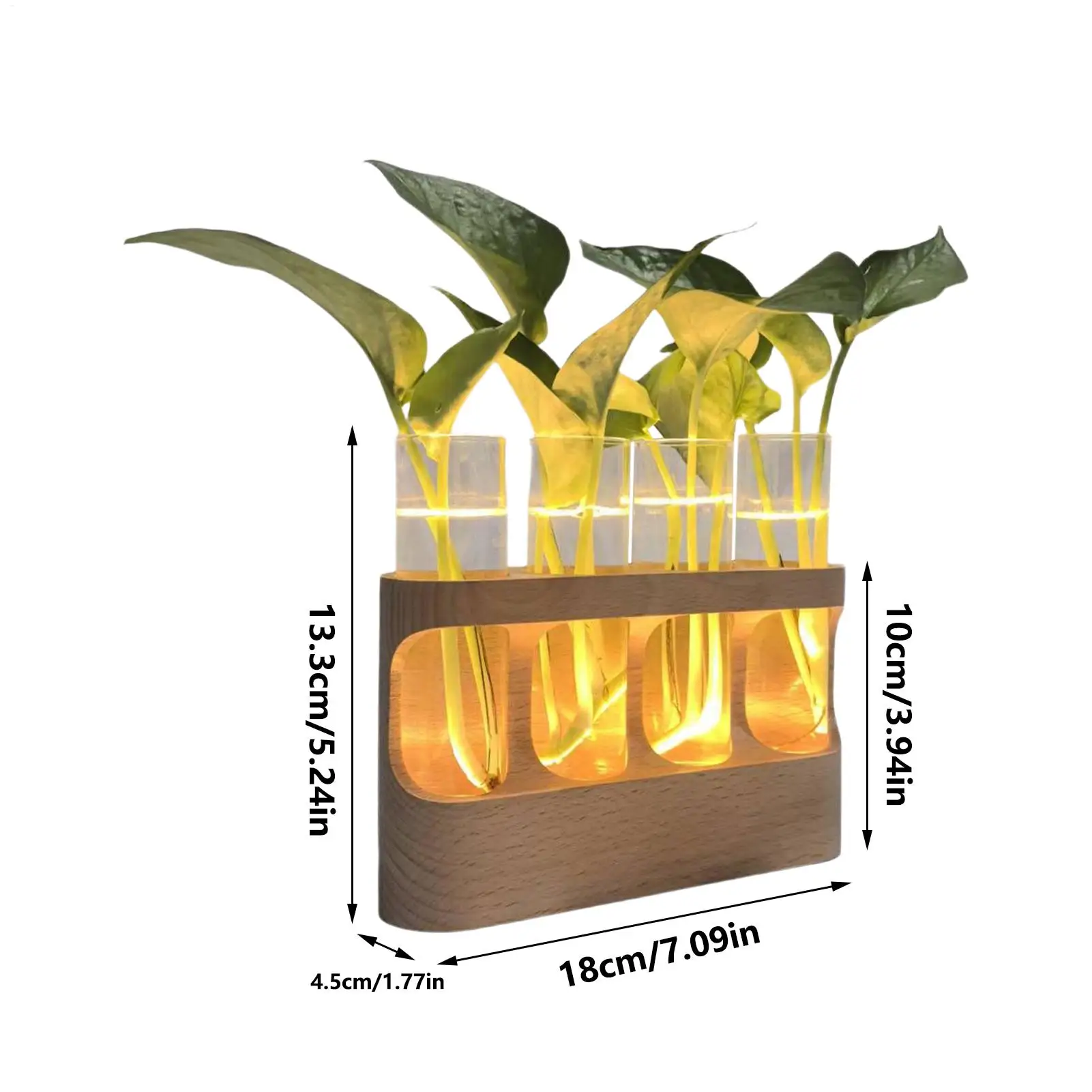 Plant Propagation Tube Decorative Hydroponic Terrarium With LED Lights Glass Planter Vase For Hydroponic Plants For Men Women