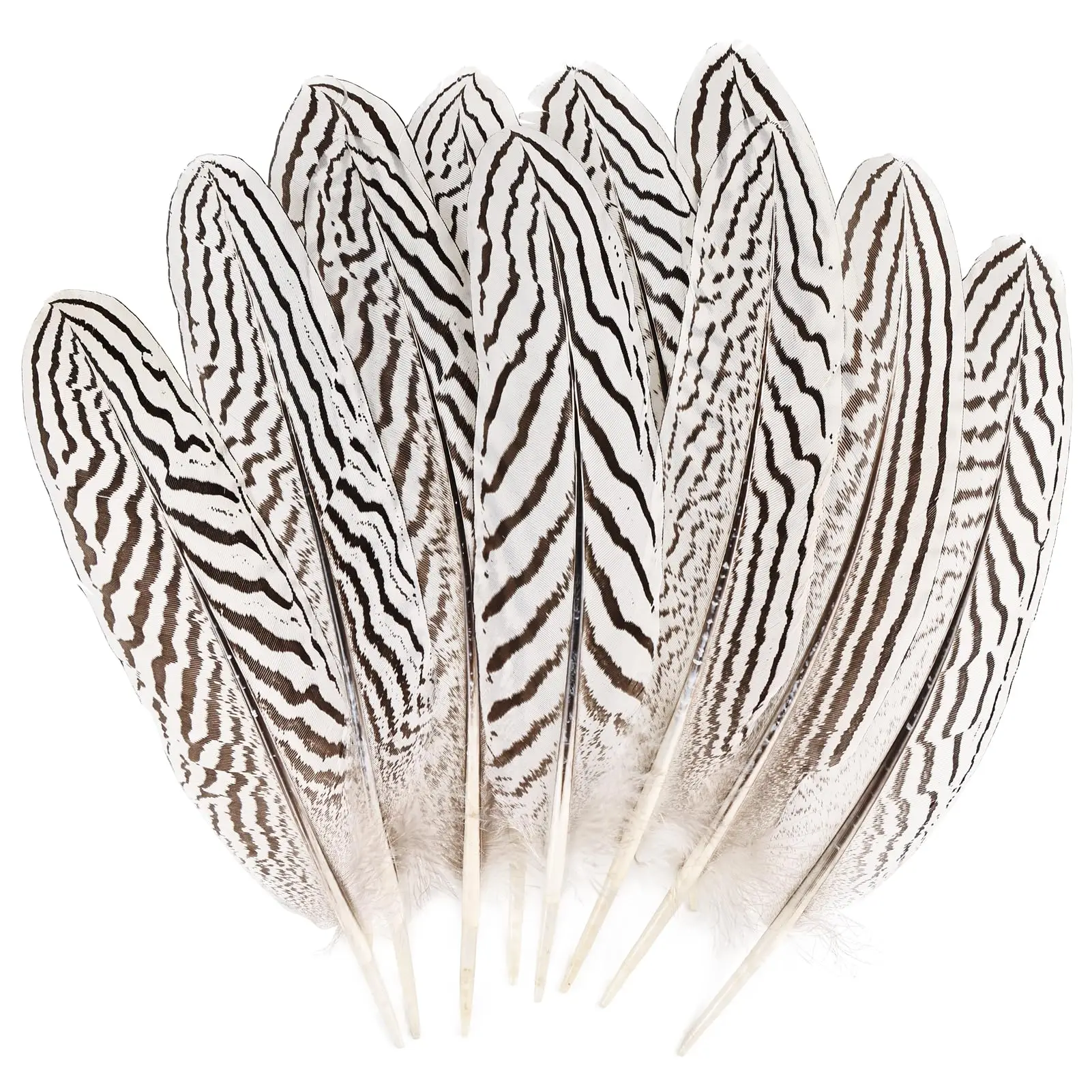

Silver Pheasant Feathers 7-8inch 10/30pcs Bulk Natural Spotted Feather for DIY Crafts Wedding Decoration Feathers Home Decor