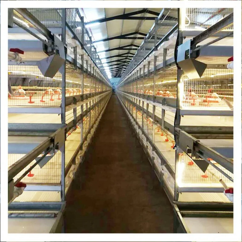 

Продажа автоматического оборудования для фермы курицы, бройлера, птицы