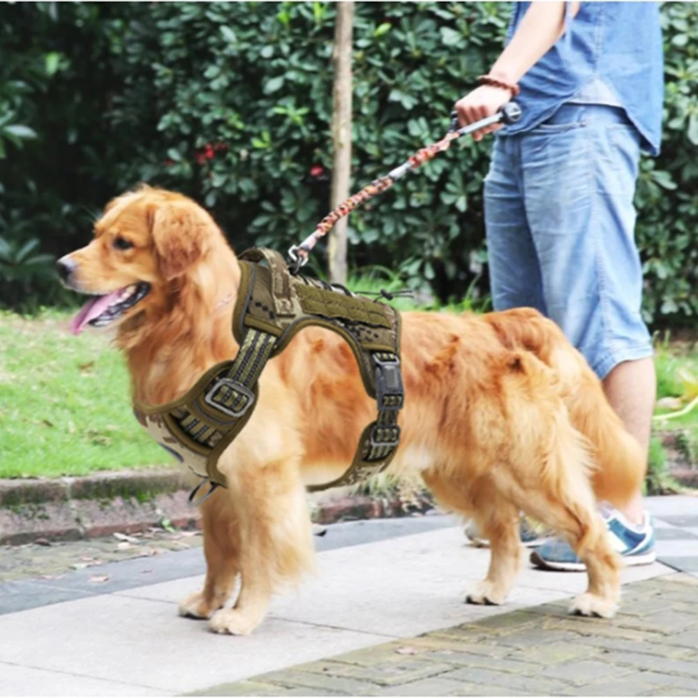 

Functional Tactical Dog Harness Crafted from Durable Materials Adjustable Straps for a Secure Ideal for Daily Walks and Outdoor