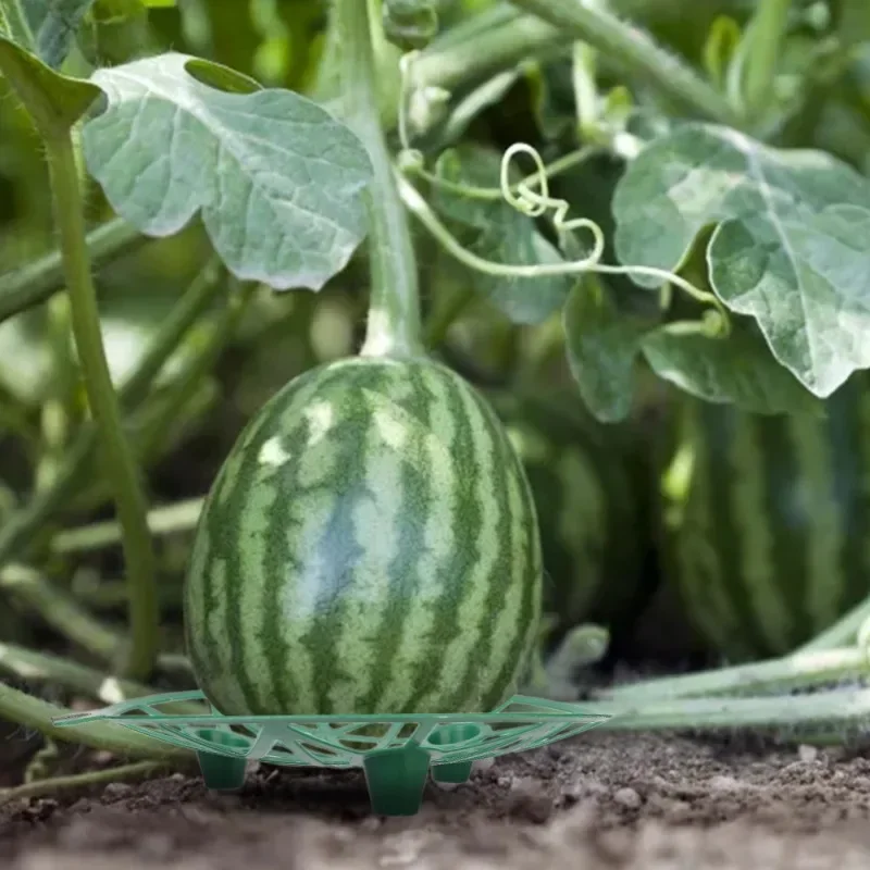 Watermelon Holder Stand Round Vegetables Supports Cages Fruit Support Basket Pumpkin Melon Protective Holder Garden Supplies