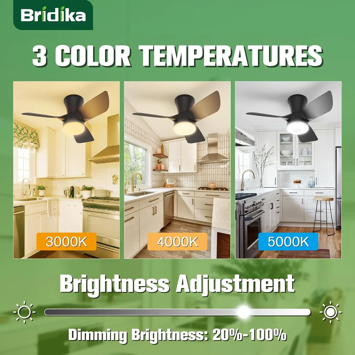 Bridika Decken ventilatoren mit Lichtern und Fernbedienung, 30 Zoll leiser Decken ventilator mit niedrigem Profil und Licht mit 3 Farben dimmbare LED, 6-Gang