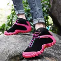 rosa 22