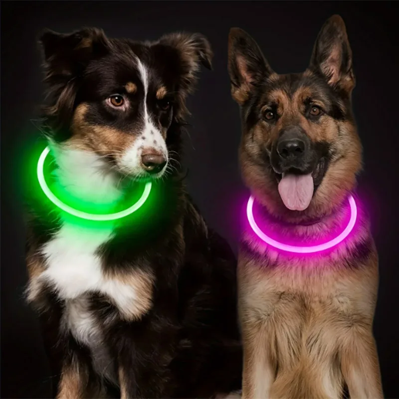 Dog Cat Luminous Led Collar Usb Rechargeable Night Anti-lost Necklace For Large Medium Small Dogs Cats Pet Safety Accessories