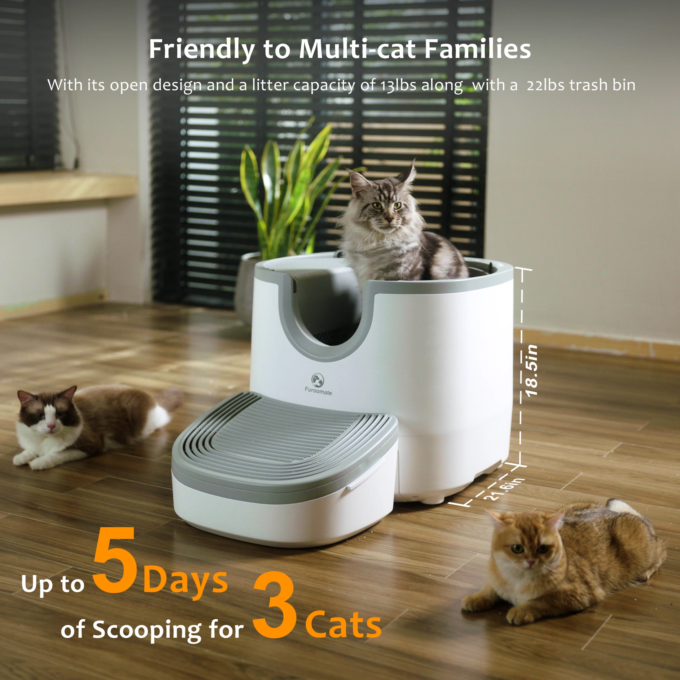 Automatic Cat Litter Box