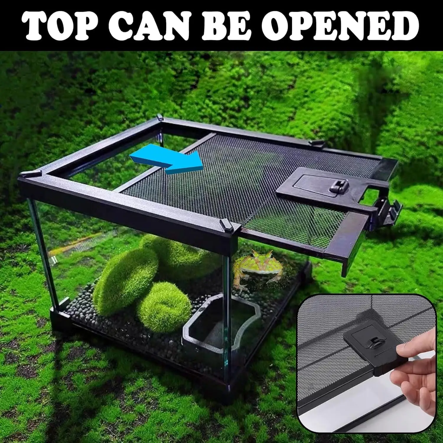 خزان الزواحف، 8 بوصة × 8 بوصة × 6 بوصة تررم الزواحف الصغيرة، خزان زجاجي سحلية شابة كاملة، حاوية موئل برمائية صغيرة قفص الرتيلاء