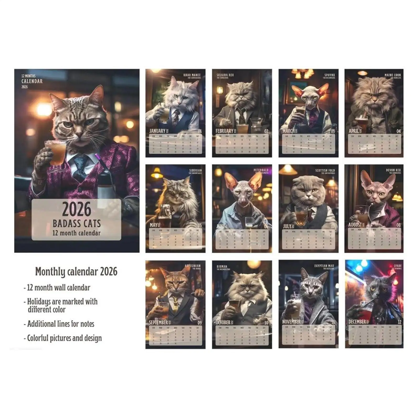 

2026 Monthly Calendar Funny Cat 2026 Wall Calendar Planner Monthly Personal Time Management Schedule Planner For Organizing