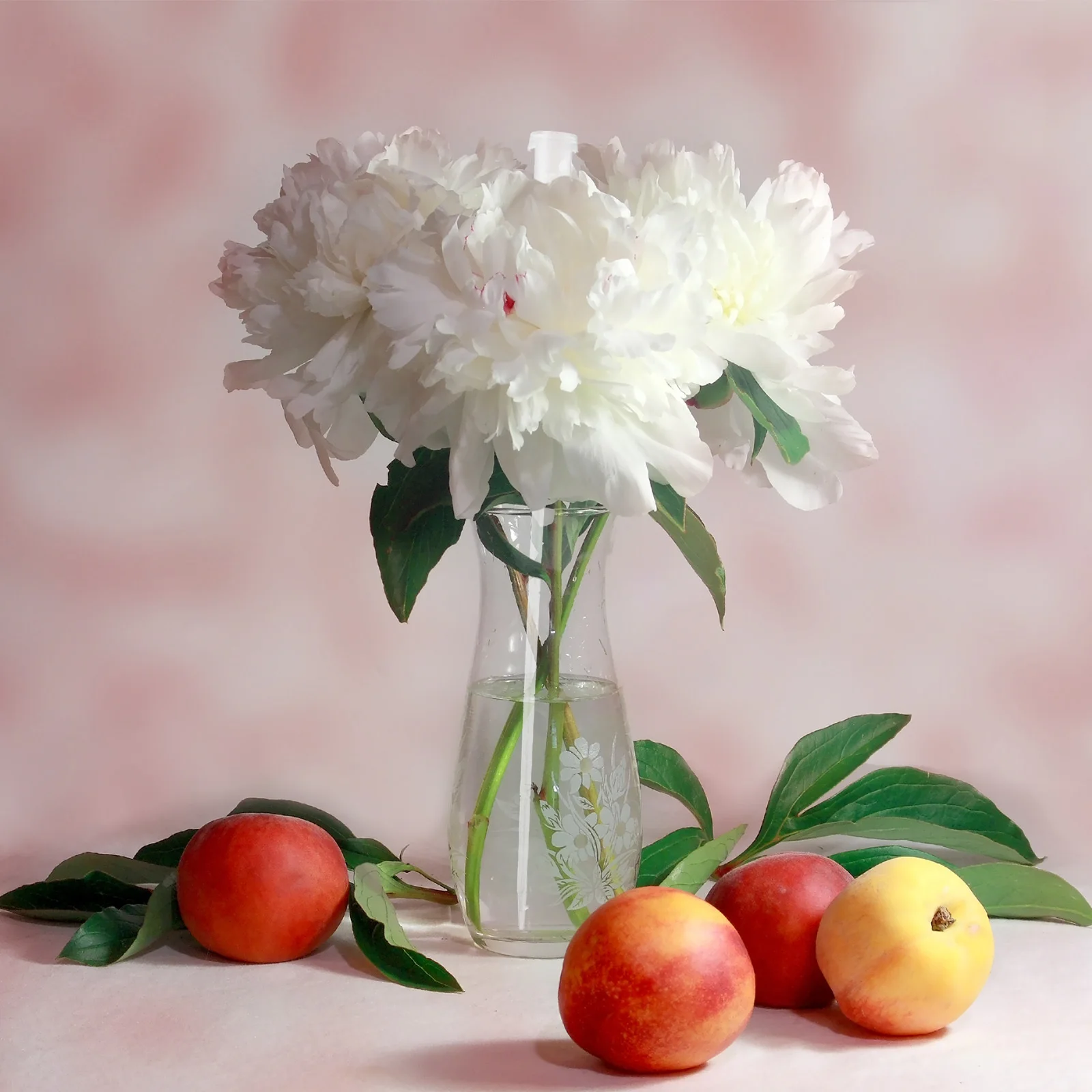 

25Pcs Fresh Flower Tubes Reusable Plastic Floral Water Sticks Transparent Caps for Wedding Event Flower Arrangements