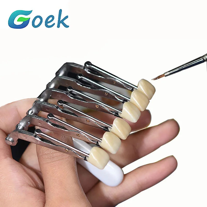 

Dental Clips For Glazing Six Teeth 304 Stainless Steel with Protective Rubber Sleeve Laboratory Tool For Technician