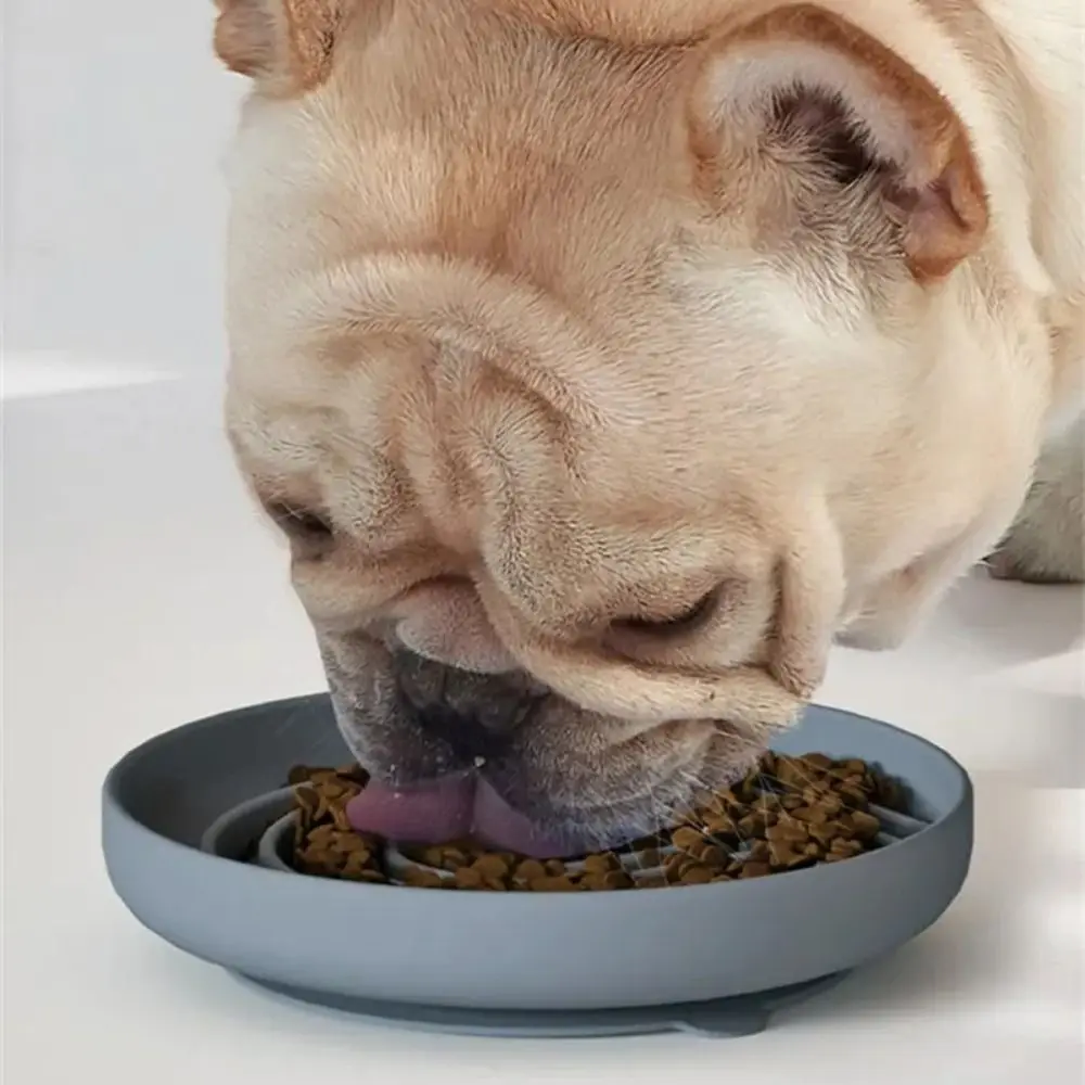 

Silicone Dog Slow Food Bowl Non-stick Non-slip Dog Food and Water Bowl Round with Suction Cups Dog Distraction Pad Indoor