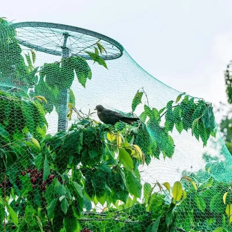 Trellis Grid Pest Protection Net Garden Bird Netting For Vegetable Flower Fruit Trees Anti Bird Fencing Mesh