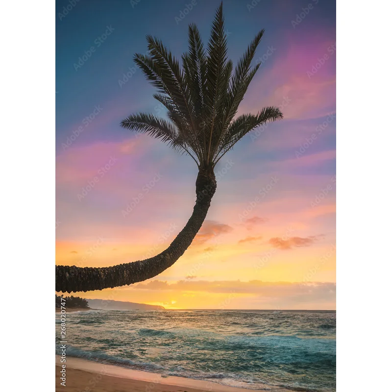 NITREE Tropical Sea Beach Palms Tree Photography Background Scenic Photo Backdrops Photocall Photo Studio HHB 03