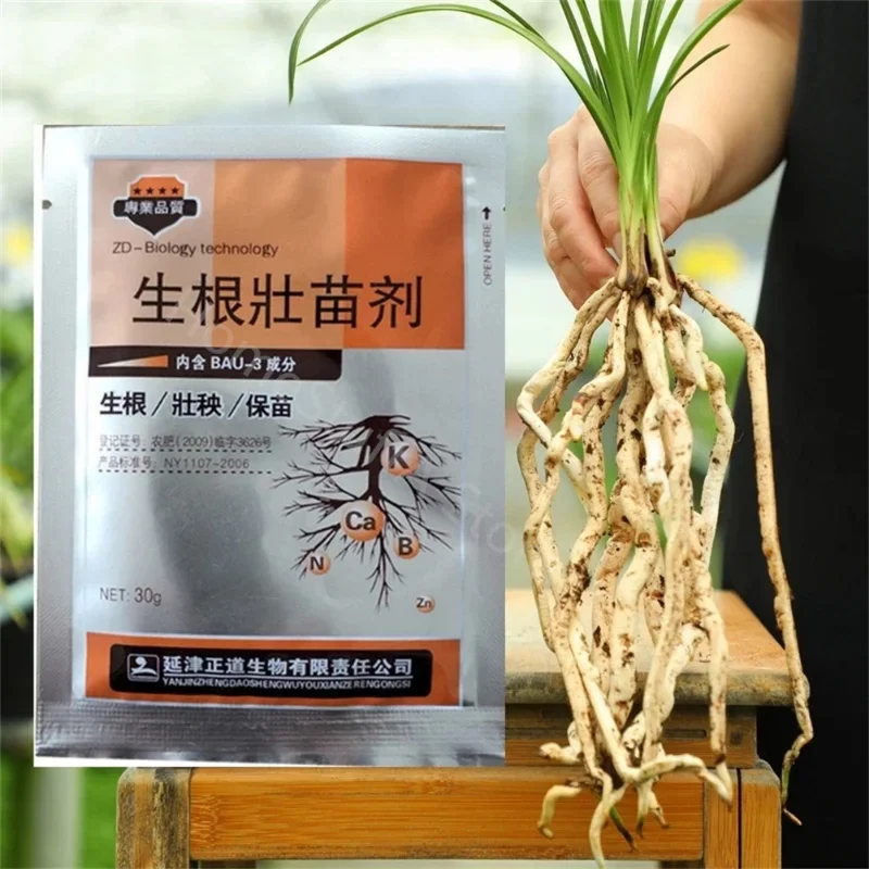 Rapid Powder Plant Growth Regulator Plant Flower Transplant Fertilizer Hormone Root Vigor Seed Germination Improve Survival 30g