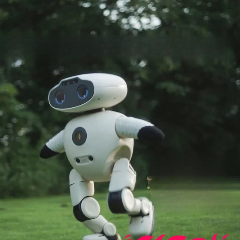 Robot companion, the first autonomous bipedal partner-type embodied robot, family company indoor and outdoor global