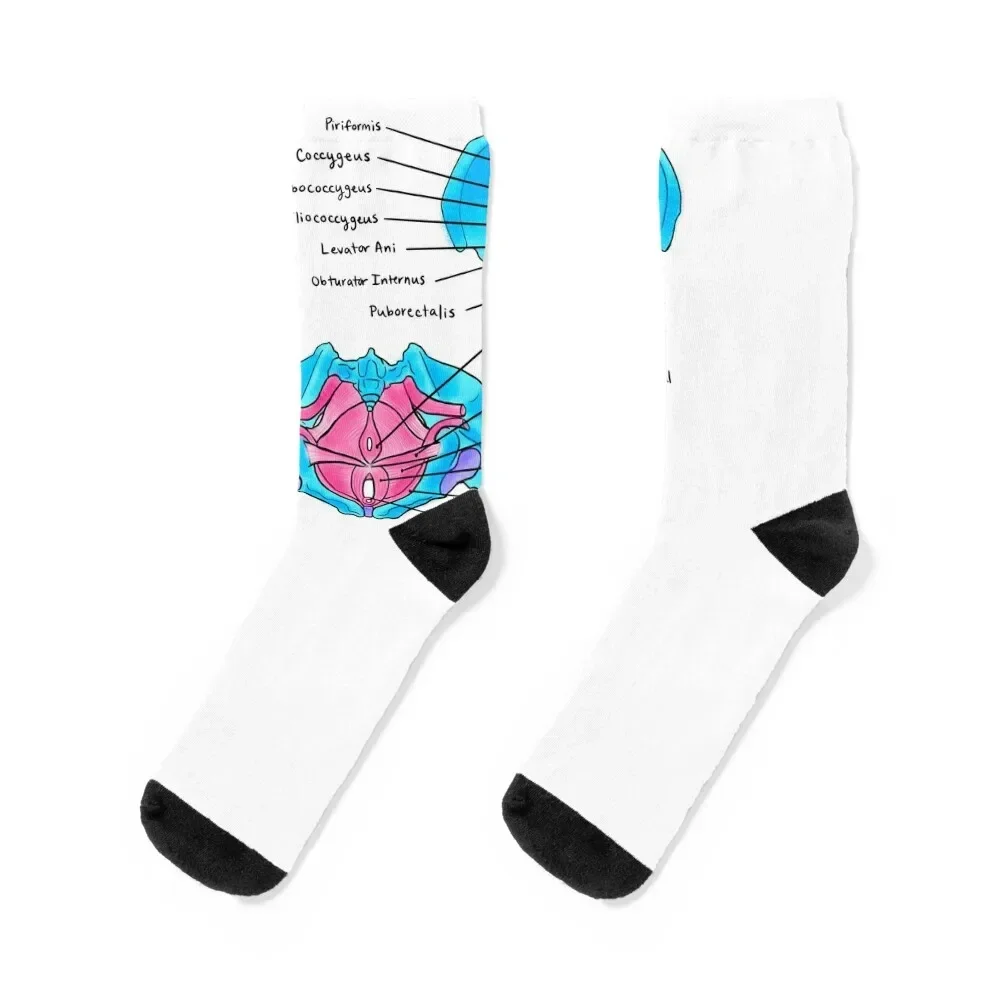 Pelvic Floor Muscles Socks anime Novelties designer brand short Socks Ladies Men's