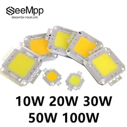 Perle de lampe LED COB intégrée, 10W, 20W, 30W, 50W, 100W, DC 9V-36V, puce de lampe COB, budgétaire bricolage, ampoule LED, budgétaire, lampe à puce