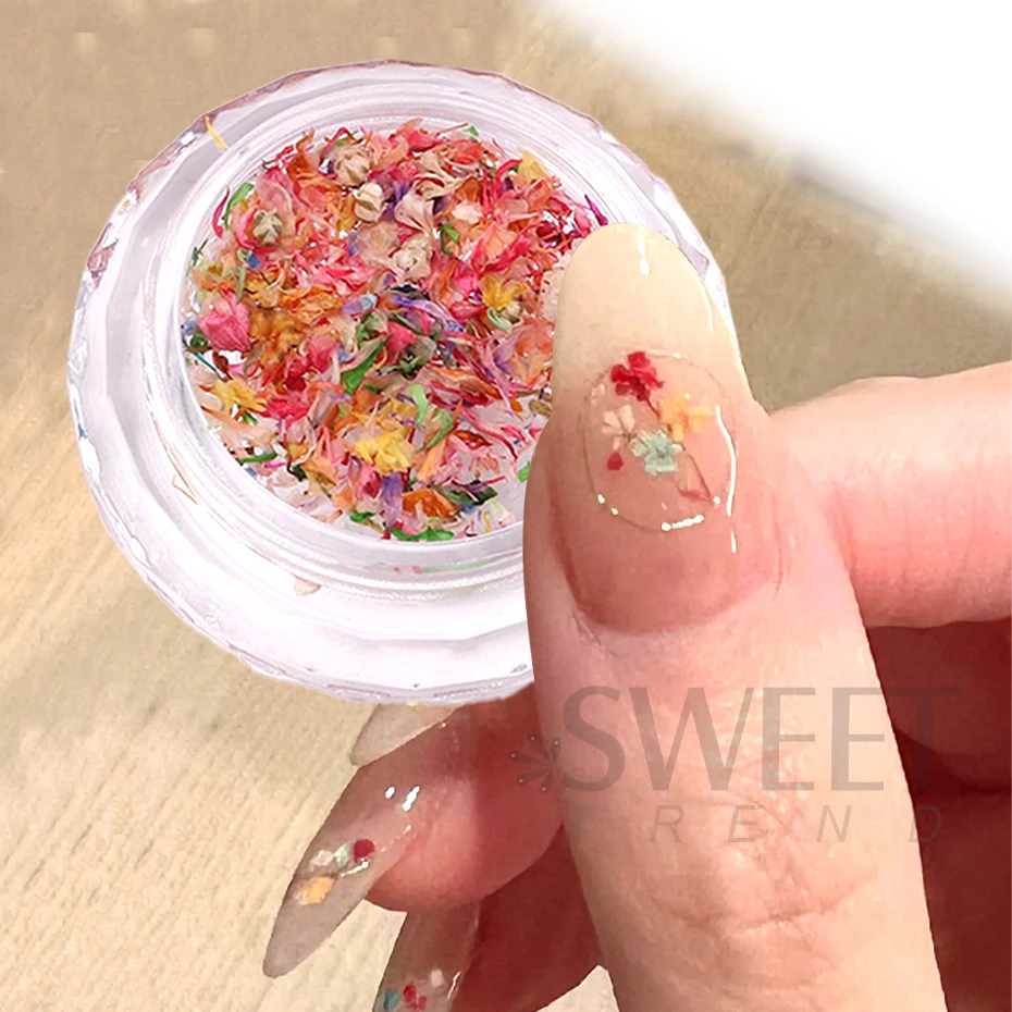 1 Box 3d natürliche echte trockene Blume Charms Abziehbilder japanische bunte Blütenblatt Blume UV Gel Acryl Nail Art Zubehör Werkzeuge jis166