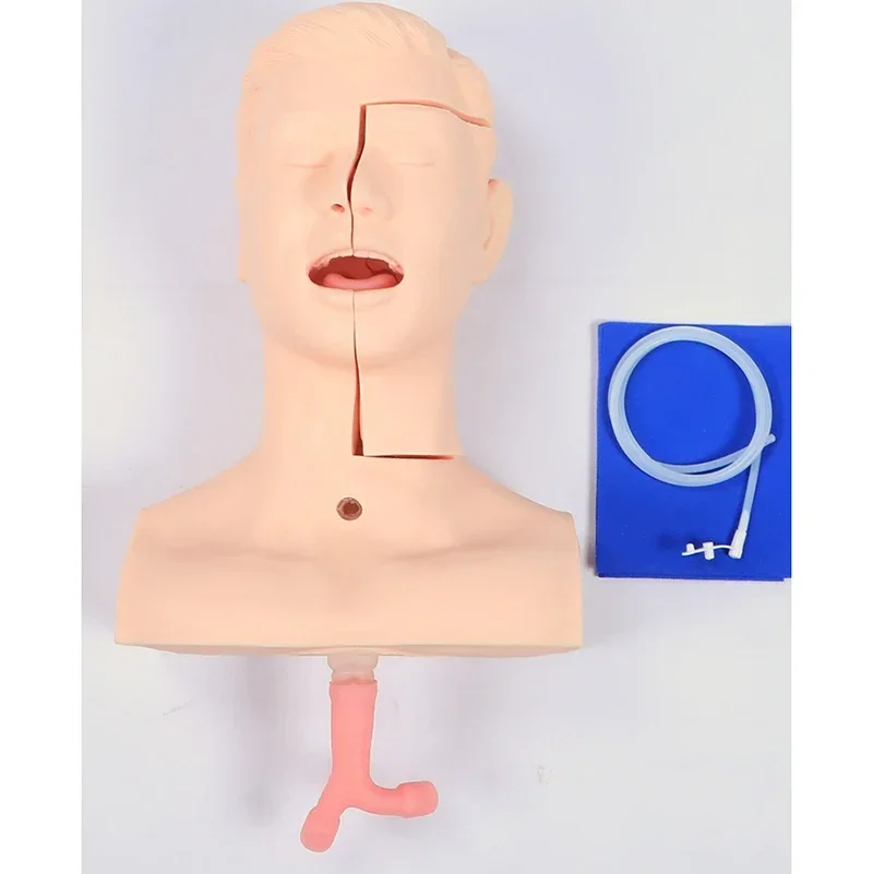 Sputum Suction Practice Model Nasal And Oral Insertion Suction Tube Technology Practice Simulated Human Teaching Training Model