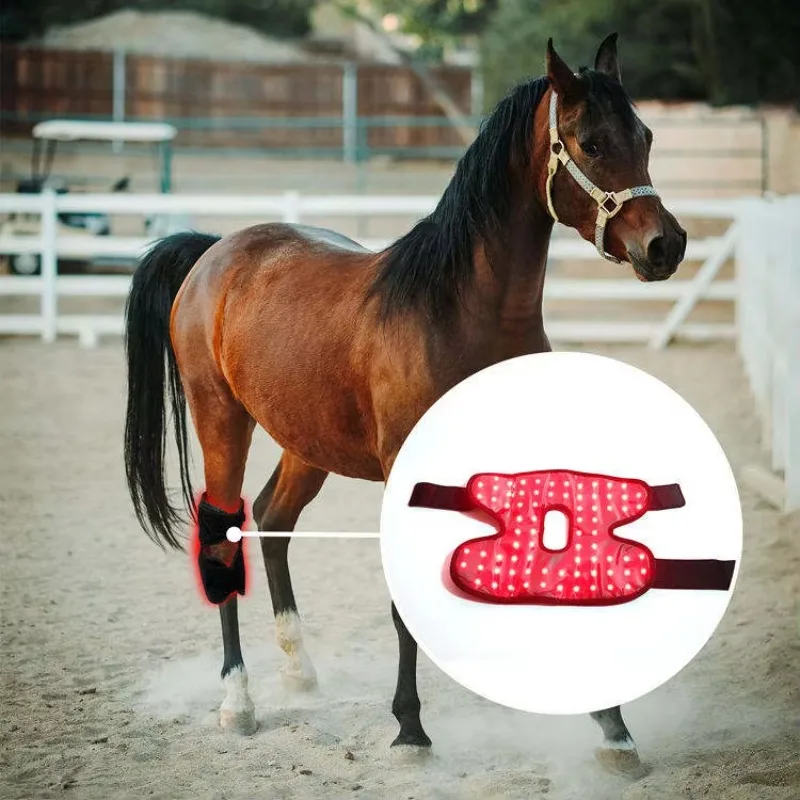 76 LEDs Equine Hock Knee Wrap 660/850nm Infrared Joint Recovery Therapy Device