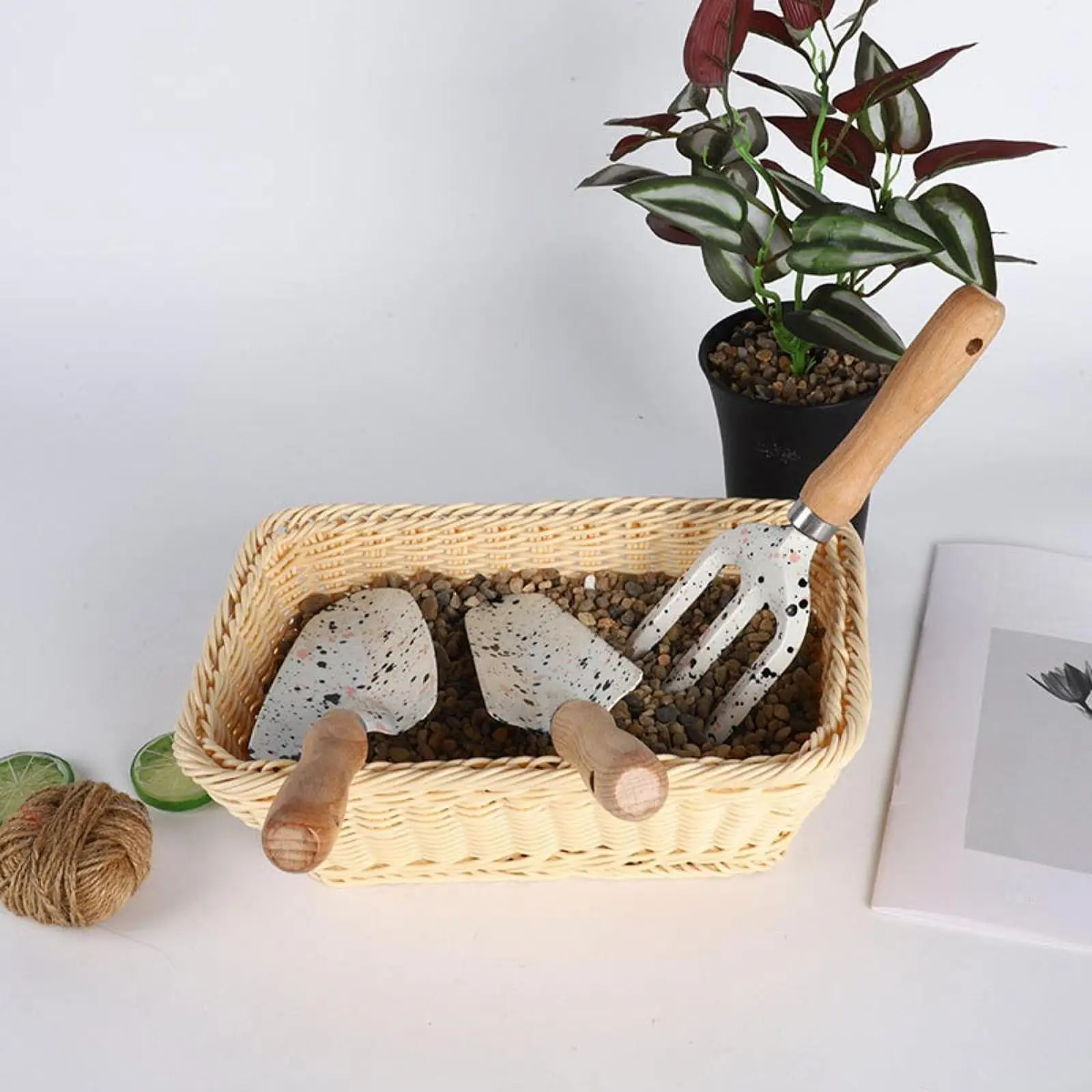 3Pcs Mini Garden Tools Set Transplant Accessories Anti Rust Tiny Gardening Kit with Shovels and Rake Hand Trowel for Greenhouse