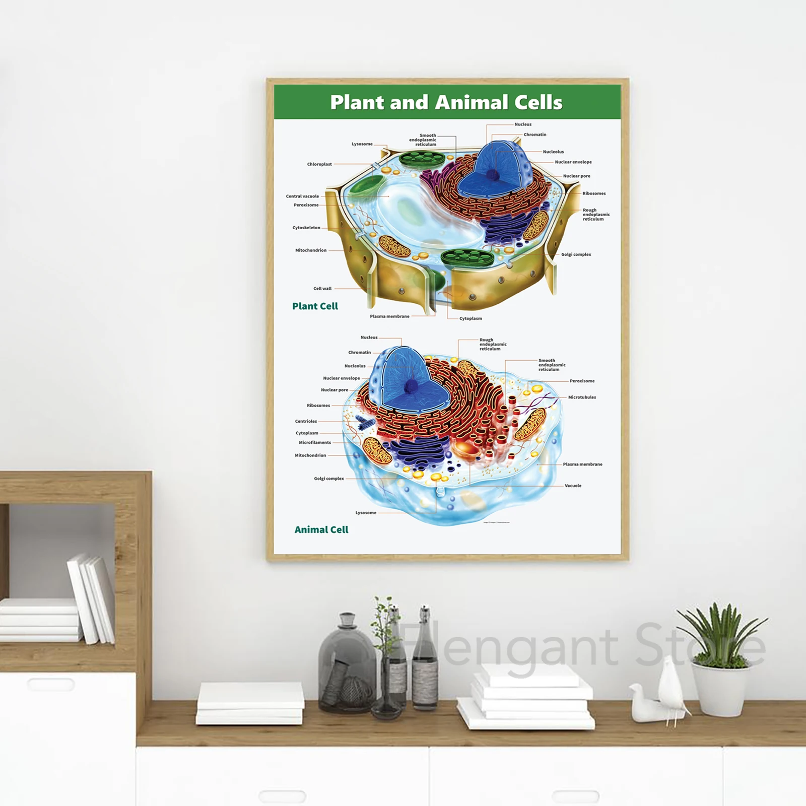 Animal and Plant Cell Biology Posters and Prints Science Educational Wall Art Canvas Painting Pictures Laboratory Office Decor