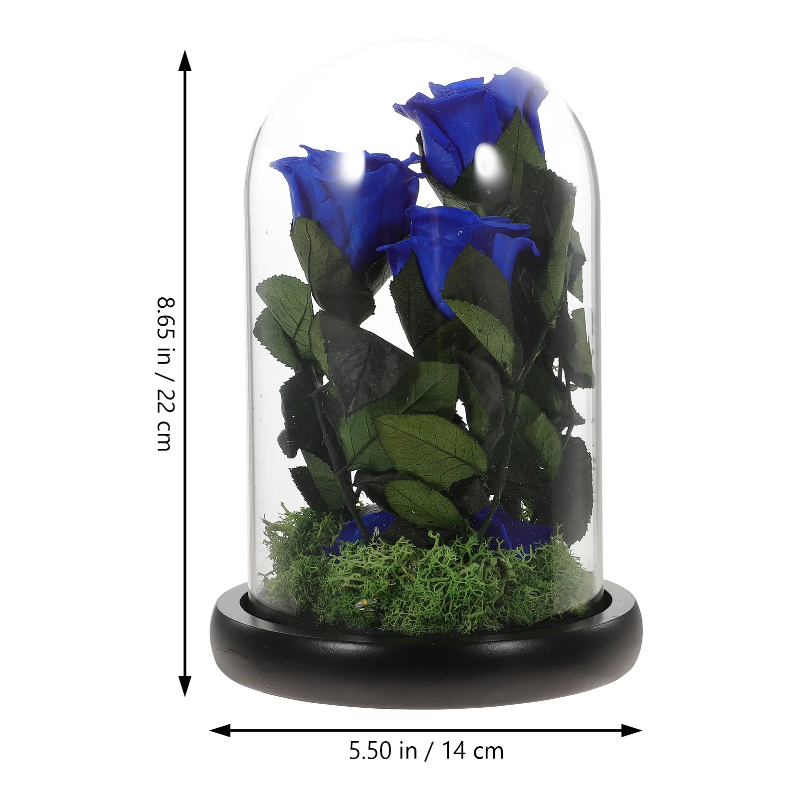 

Preserved Flower Gift Box Eternal Bottle for Valentine's Day Dry Artificial Roses
