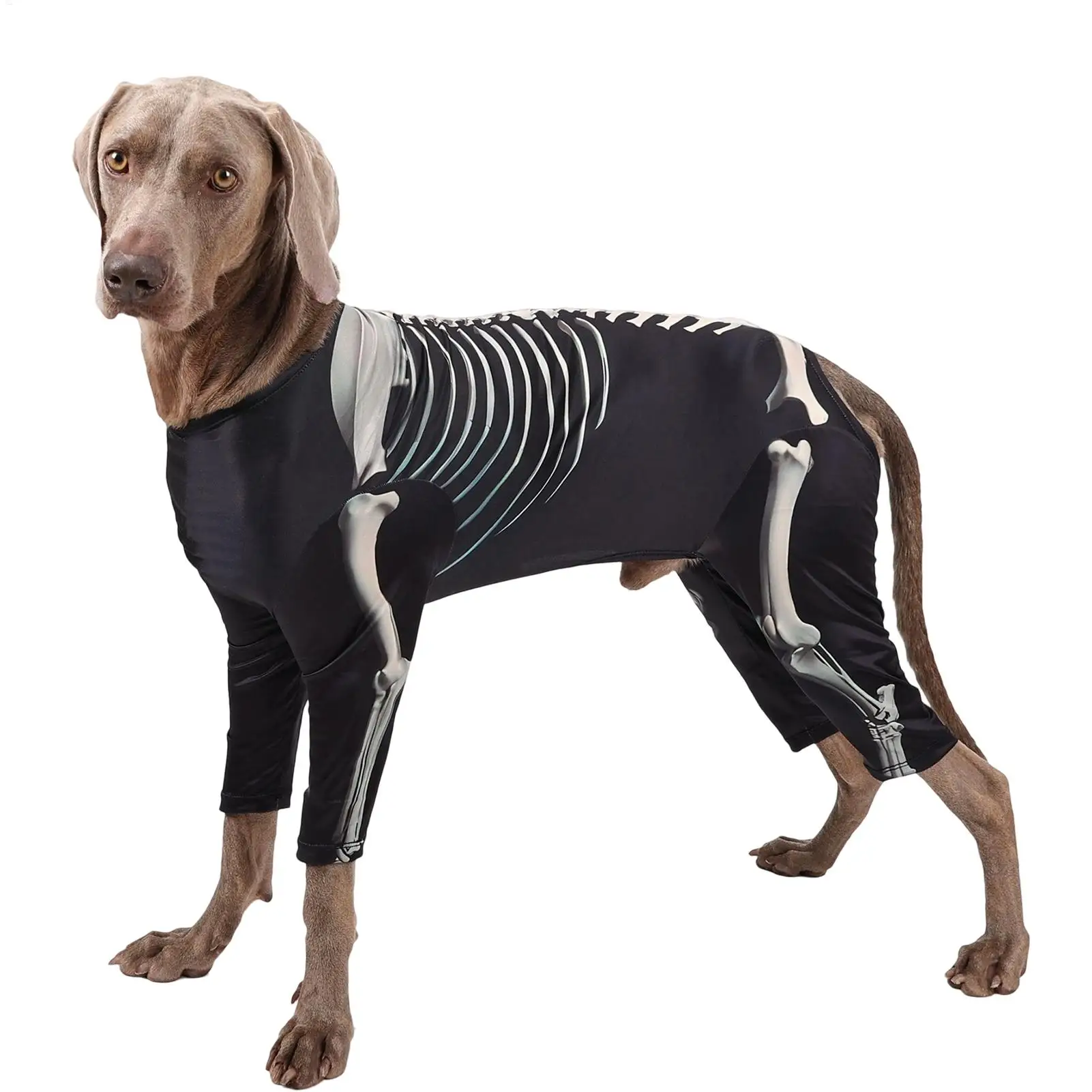 Costumes For Dogs Dog Skeleton Costume Puppy Bodysuit Pet Halloween Clothes For Holiday Photo Celebrations Travel Gathering