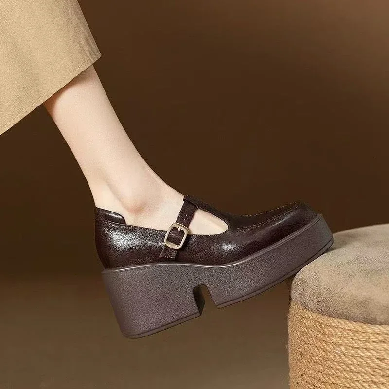 Chunky Platform High Heels Pumps Women Spring PU Leather Ankle Buckle Mary Jane Shoes Woman Brown Thick Heeled Sandals Loafers