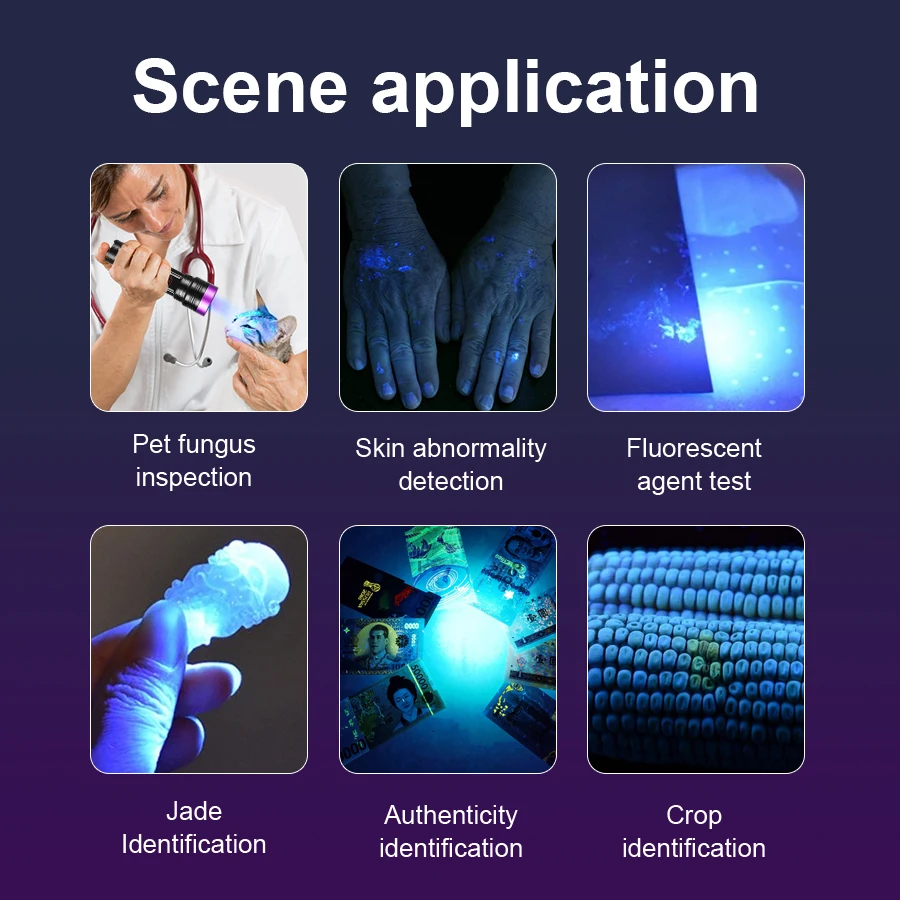 365nm UV Flashlight Rechargeable Ultraviolet Torch Wenwan Jade Appraisal Violet Light LED Flashlight Fluorescent Agent Detection