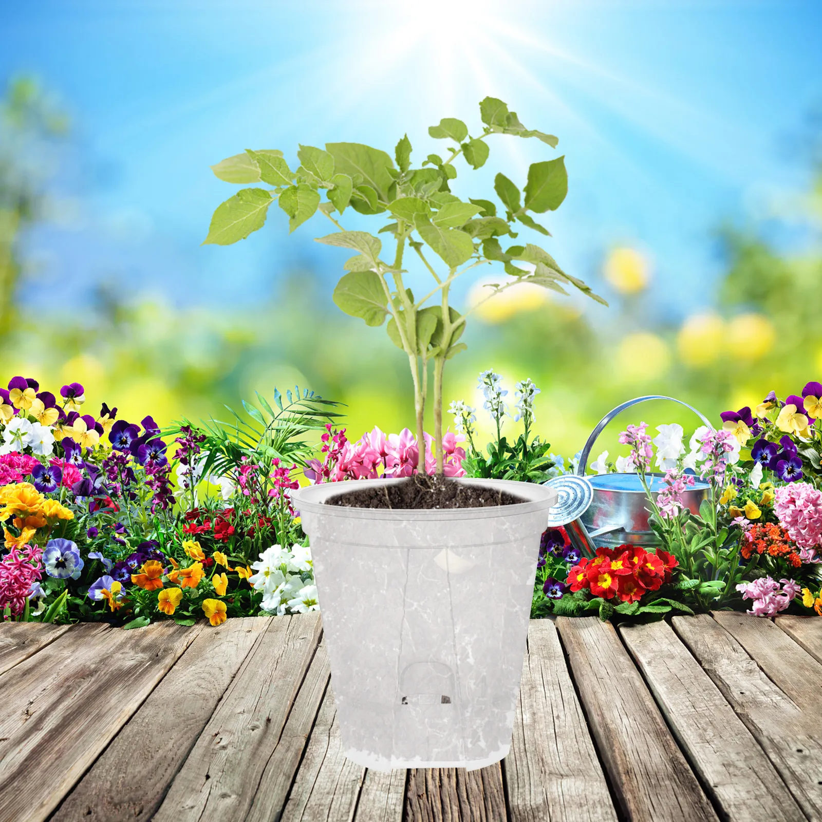 

6Pcs Transparent PP Planters Self Drainage Indoor Orchid Pots Clear Plastic Flower Pots with Multiple Drainage Holes for Healthy