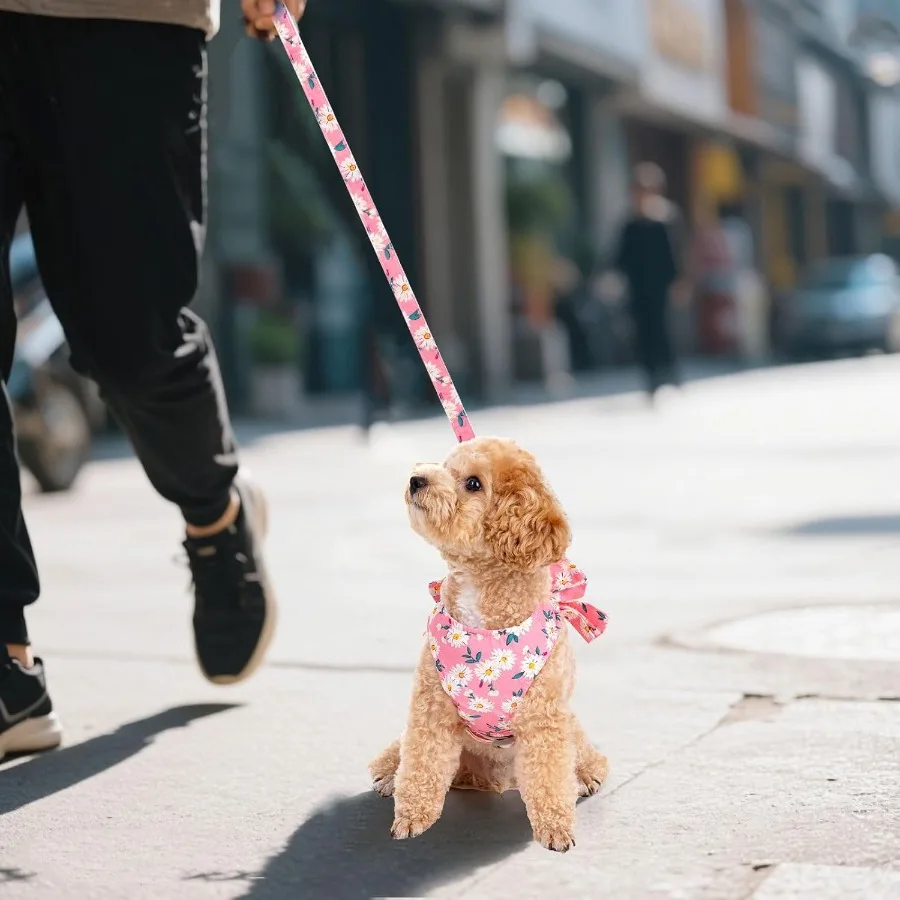 Hondenharnas en riemset Verstelbaar puppyharnas Mesh vest Set Strikknoop Huisdierenkleding voor kleine meisjes Hond Kat Zomer Roze XSmall