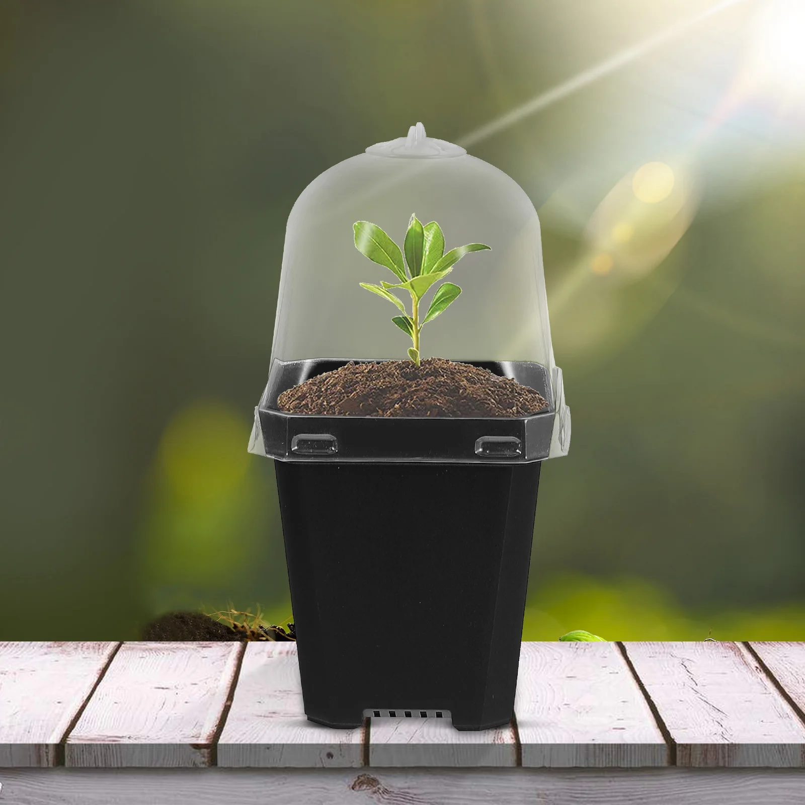 

10Pcs Thickened Plastic Flower Pots Square Plant Nursery Containers for Seedlings Starting Gardening Home Decor Drainage Holes