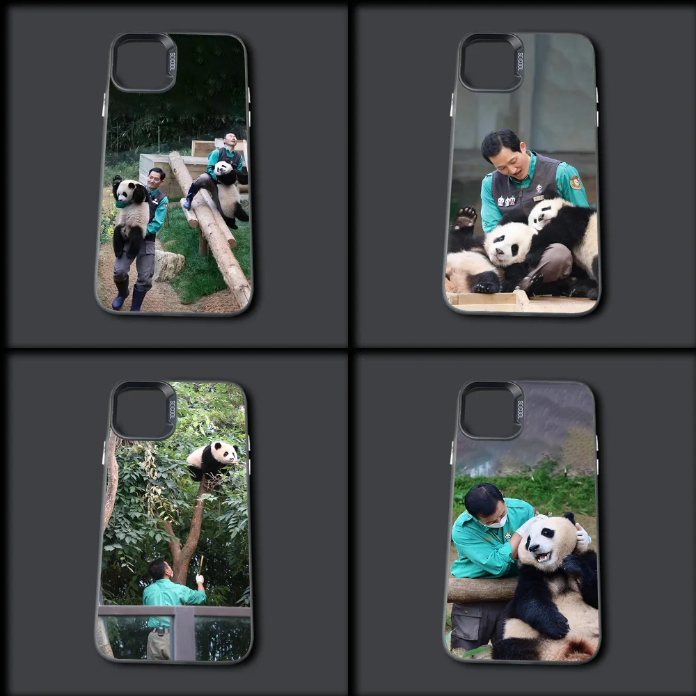 Funny Fubao Panda Phone Case For iPhone 16,15,14,13,12,11,Mini,Pro,MAX Gray Silver Drop Matte Shockproof Back Cover