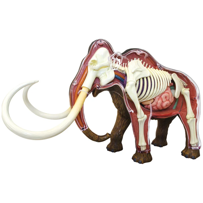 4D Vision Animal Woolly Mammoth Anatomy Model 30 Parts Detachable Simulation Wildlife Animal Model Figurines Toy Kids Gift