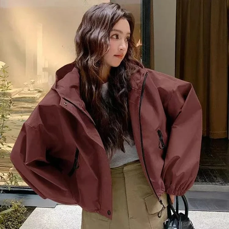 Giacca casual con cappuccio corta sottile alla moda autunno inverno nuovo stile fibra di poliestere colore puro vestibilità regolare comoda da donna