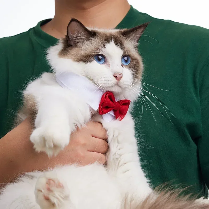 

British Style Pet Bow Tie Collars Saliva Towel Collar Suitable for Wedding Birthday Party Decoration Accessories Cats Necklace