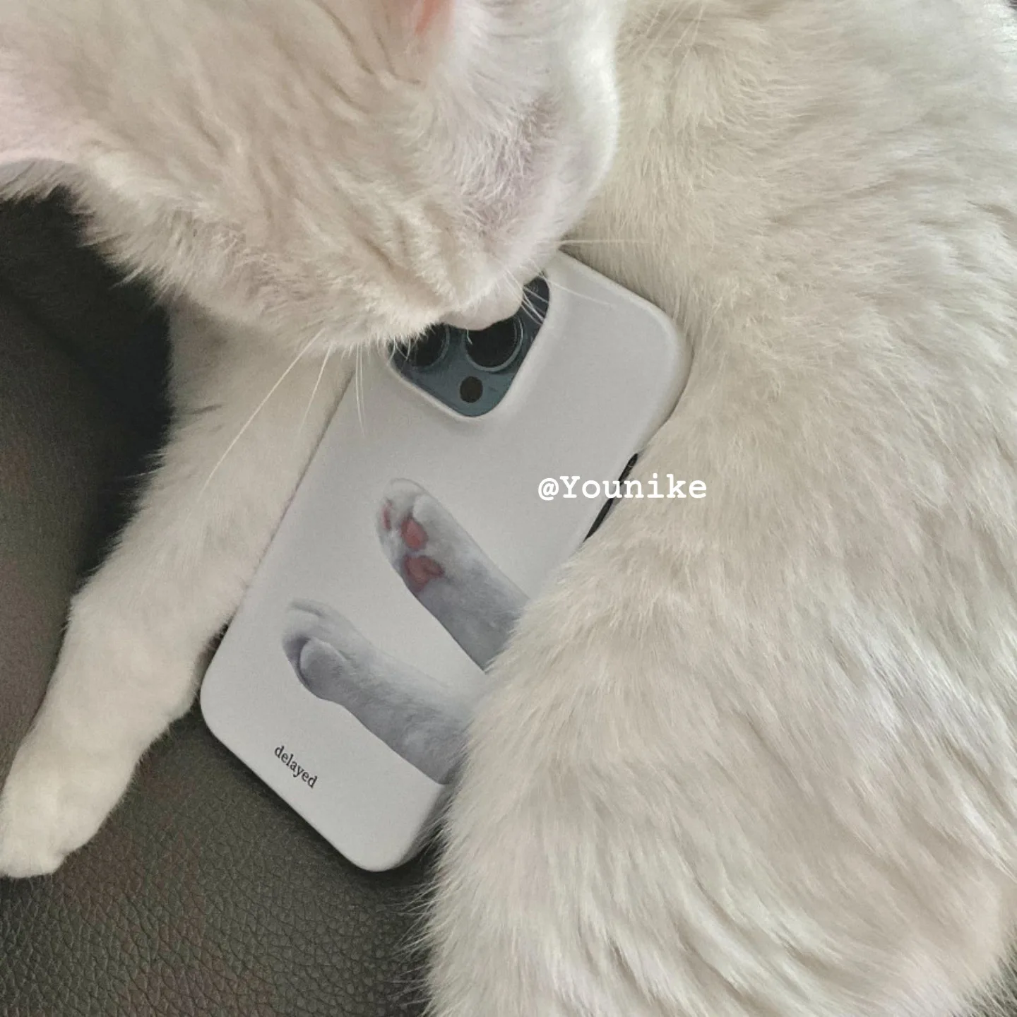 Feilin Adorable Pet Cat Jiojio for iPhone 16/14/12promax Apple 11xr Phone Case Hard Case iPhone 8 Plus Case