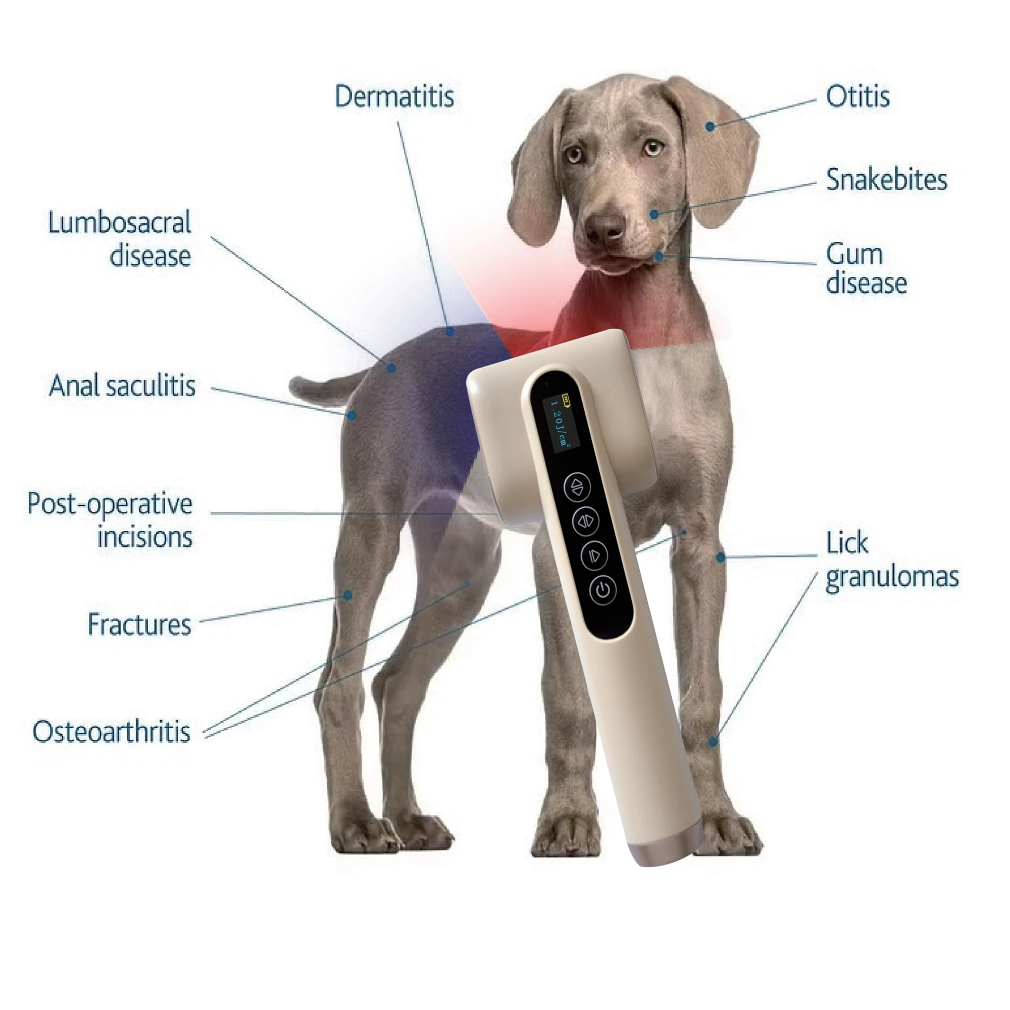 Home and Hospital Use LED Light Laser Therapy Device for Cat Dog Skin Veterinary Instrument for Pet Care